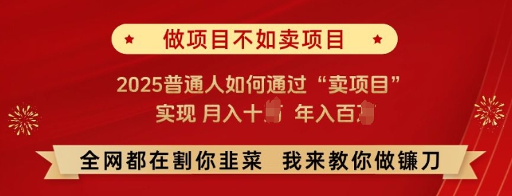 必看!做项目不如卖项目，2025普通人如何通过“卖项目”实现月入十个，年入百个【揭秘】-资源鲟