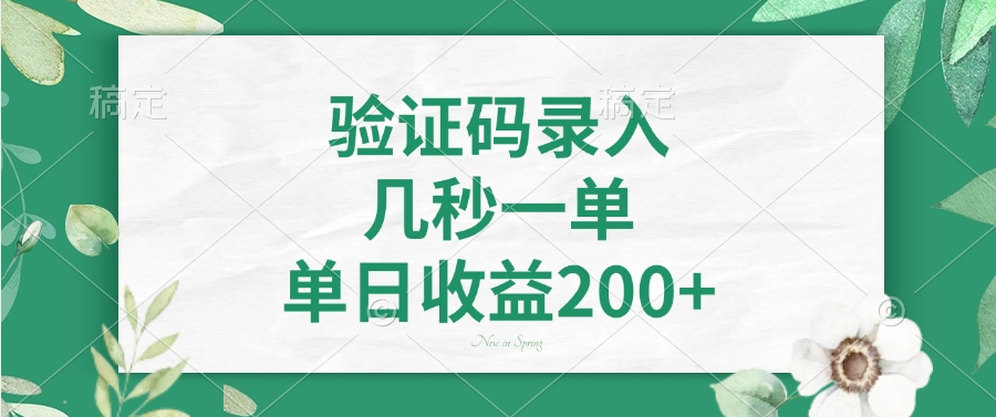 （14221期）验证码录入，几秒一单，单日收益200+-资源鲟