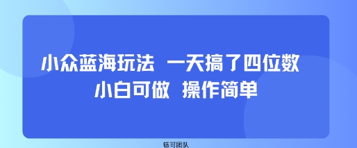 小众蓝海玩法 一天搞了四位数 小白可做 操作简单-资源鲟