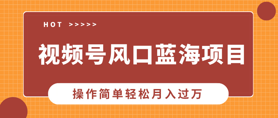 （13945期）视频号风口蓝海项目，中老年人的流量密码，操作简单轻松月入过万-资源鲟