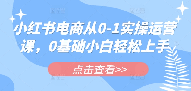 小红书电商从0-1实操运营课，0基础小白轻松上手-资源鲟