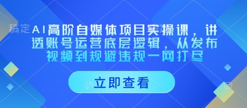 AI高阶自媒体项目实操课，讲透账号运营底层逻辑，从发布视频到规避违规一网打尽-资源鲟