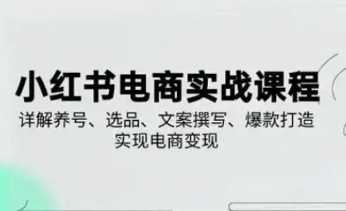 小红书从0-1实操课(2023-2025)，详解养号、选品、文案撰写、爆款打造实现电商变现-资源鲟