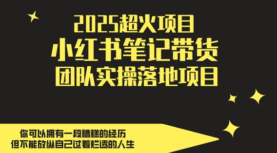 2025超火项目，副业最佳选择，小红书笔记带货团队实操落地项目，，轻松日入5张-资源鲟