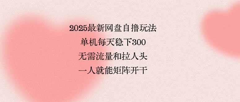 （15831期）2025最新网盘自撸玩法，单机每天稳下3张，无需流量和拉人头，一个人就…-资源鲟