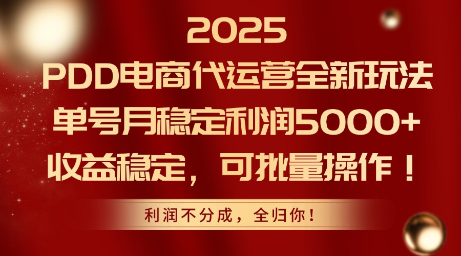 （14839期）2025PDD电商代运营全新玩法，单号月稳定利润5000+，收益稳定，可批量操作-资源鲟