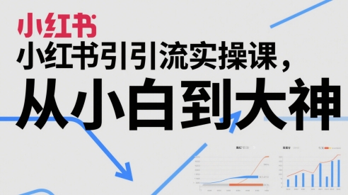 小红书引流实操课，从小白到大神-资源鲟