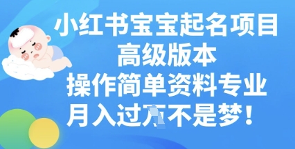 小红书宝宝起名项目高级版本，操作简单，资料专业，月入过W-资源鲟