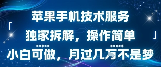 苹果手机技术服务，独家拆解，操作简单，小白可做，月过1W不是梦-资源鲟