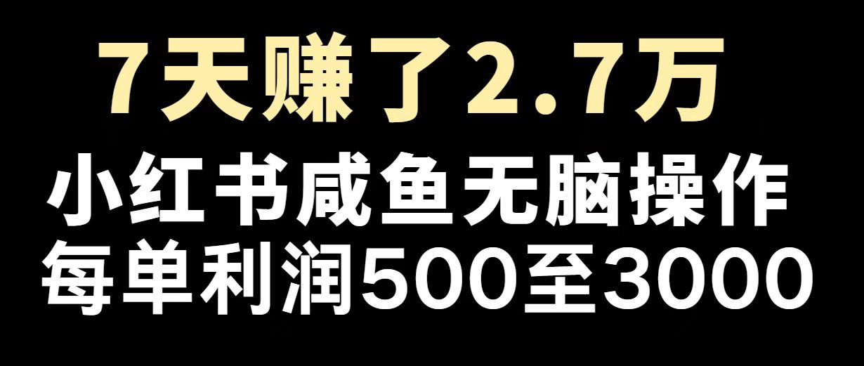 （14183期）最赚钱项目之一，2025爆火，逆风翻盘！-资源鲟