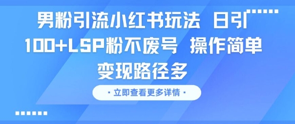 男粉引流小红书玩法，日引100+LSP粉不废号，操作简单，变现路径多-资源鲟