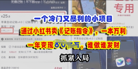 一个冷门需求，通过小红书卖《记账指令》，一本万利，谁做谁发，抓紧入局-资源鲟