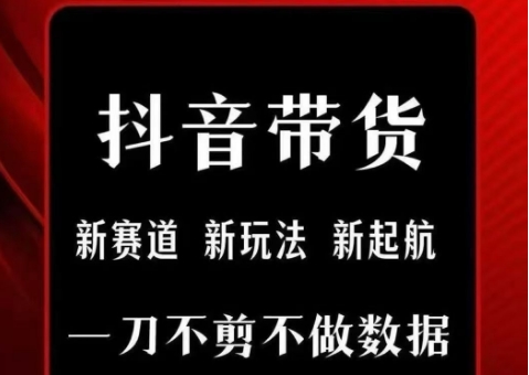抖音短视频一刀不剪带货，不剪辑，不直播，每天发个视频，等着出单获取带货佣金-资源鲟