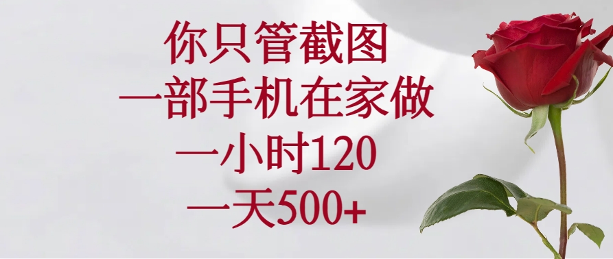 （14248期）你只管截图，一部手机在家做，一小时120，一天500+-资源鲟