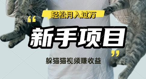 利用老外躲猫猫大赛视频，挣分成收益，操作简单，新手小白，轻松月入过W-资源鲟