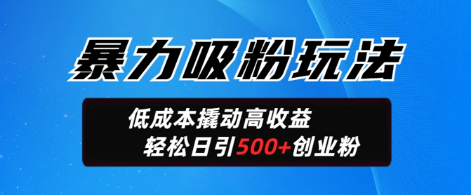 暴力吸粉玩法，日引500+精准创业粉，日变现轻松多张-资源鲟