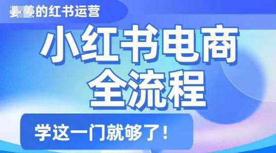 小红书电商全流程，精简易懂，从入门到精通，学这一门就够了-资源鲟