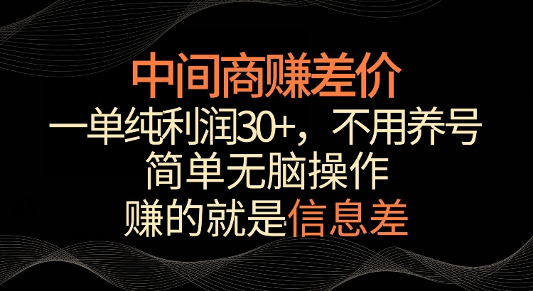利用信息查赚差价，每单都有高利润，简单无脑操作，轻松日入多张-资源鲟