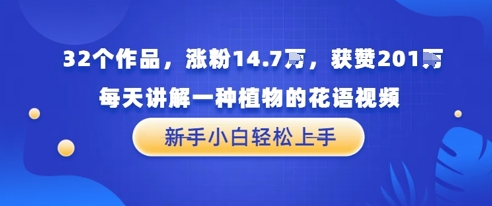 32个作品，涨粉14.7W，获赞201W，每天讲解一种植物的花语视频，无需任何技巧，新手小白轻松上手-资源鲟