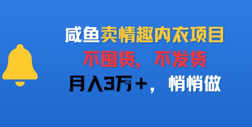 咸鱼卖情趣内衣项目，不囤货，不发货，月入3W+，悄悄做-资源鲟