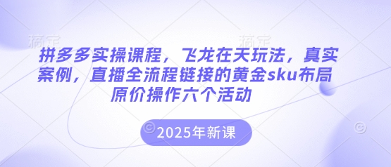 拼多多实操课程，飞龙在天玩法，真实案例，直播全流程链接的黄金sku布局原价操作六个活动-资源鲟