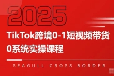 TikTok跨境0-1短视频带货，系统拆解TikTok跨境带货全链路，实现跨境可持续盈利-资源鲟