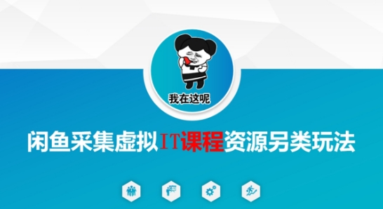 闲鱼采集虚拟IT课程资源另类玩法，干货满满-资源鲟