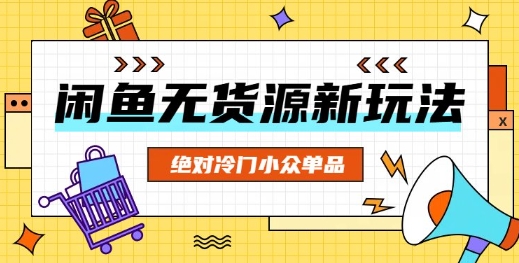 闲鱼无货源冷门单品项目，绝对冷门小众单品-资源鲟