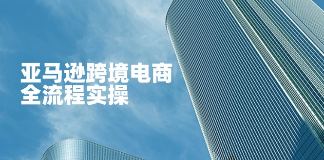 （14252期）亚马逊跨境电商全流程实操，教你从零开始，掌握店铺运营与广告技巧-资源鲟