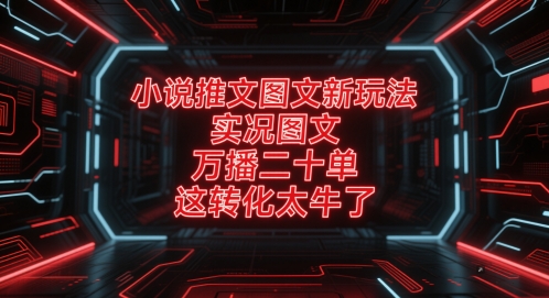 小说推文图文新玩法，实况图文，万播二十单，这转化太牛了！-资源鲟