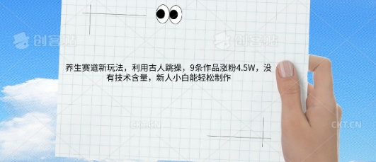 AI养生赛道新玩法，10条作品涨粉5.2W，操作简单，新人小白能轻松制作-资源鲟