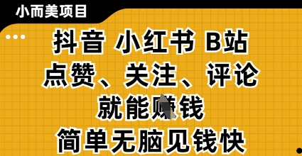 小而美的项目，抖音小红书B站视频点赞、关注、评论就能挣钱，简单无脑立见收益，妥妥的零撸项目【揭秘】-资源鲟