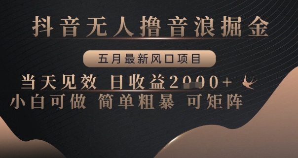 抖音无人撸音浪掘金，五月最新风口项目，当天见效，日收益多张，小白可做简单粗暴可矩阵【揭秘】-资源鲟