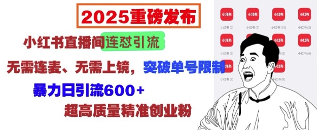 2025重磅发布：小红书直播间连怼引流，无需连麦、无需上镜，突破单号限制，暴力日引流600+-资源鲟