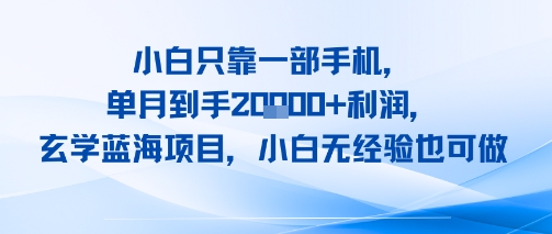 小白只靠一部手机，单月到手2W+利润，玄学蓝海项目，小白无经验也可做-资源鲟