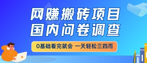 网创搬砖项目，国内问卷调查，小白轻松上手，一天三四张的也不难，干就完了【揭秘】-资源鲟