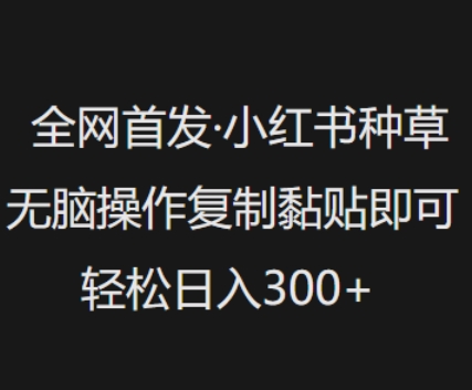 全网首发，小红书种草无脑操作，复制黏贴即可，轻松日入3张-资源鲟