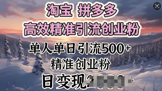 淘宝拼多多高效精准引流创业粉，单人单日引流500+创业粉，日变现多张-资源鲟