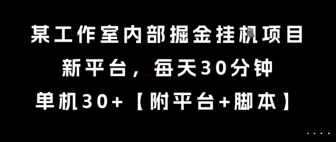 某工作室内部掘金挂G项目，新平台，每天30分钟，单机30+【揭秘】-资源鲟