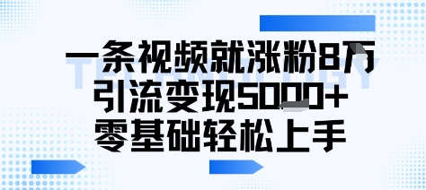 一条视频就涨粉8W引流变现5k+，0基础项目轻松上手-资源鲟