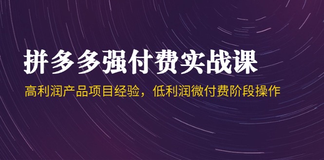 （14874期）拼多多强付费实战课-44期，高利润产品项目经验，低利润微付费阶段操作-资源鲟