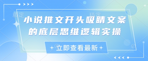 小说推文开头吸睛文案的底层思维逻辑实操-资源鲟