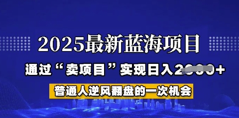 2025年首次揭秘如何通过“网创项目”日入多张【揭秘】-资源鲟