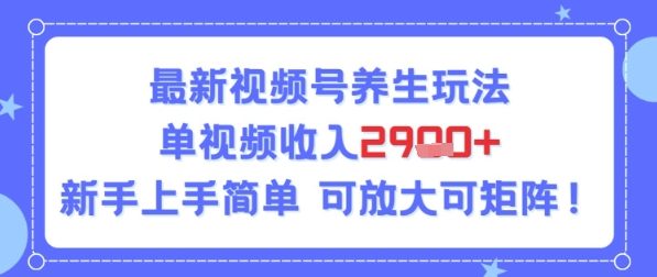 视频号养生玩法，单视频收入2.9k，新手上手简单-资源鲟