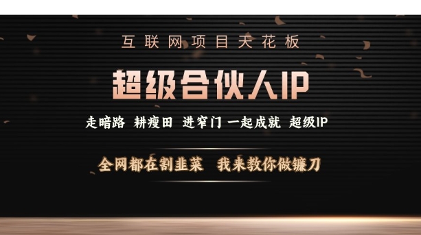 互联网项目天花板，超级合伙人IP，全网都在割韭菜，我来教你做镰刀【仅揭秘】-资源鲟