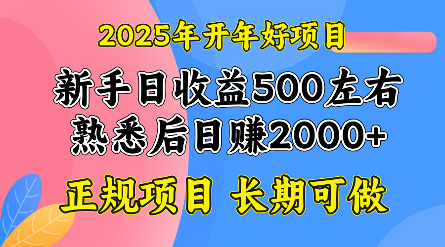 （14076期）2025开年好项目，单号日收益2000左右-资源鲟