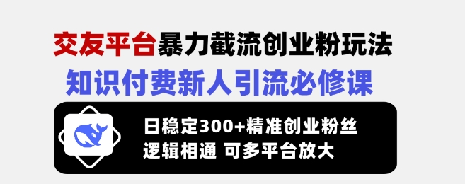 交友平台暴力截流创业粉玩法，知识付费新人引流必修课，日稳定300+精准创业粉丝，逻辑相通可多平台放大-资源鲟