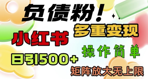 2月最新小红书日引500+负债粉，多重变现轻松过W，矩阵放大无上限-资源鲟