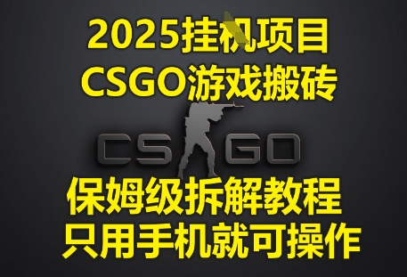 2025挂G项目，CSGO游戏搬砖，保姆级拆解教程，只用手机就可操作【揭秘】-资源鲟