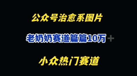 公众号老奶奶治愈系流量主，篇篇10W+-资源鲟